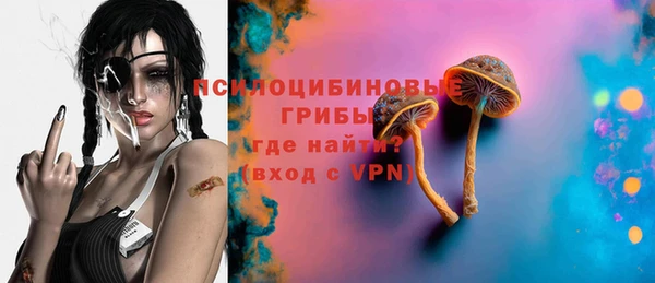 шишки Алексин