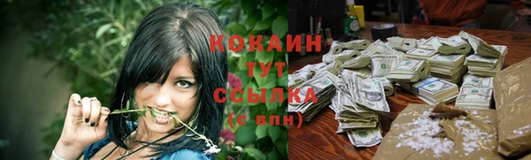 шишки Алексин